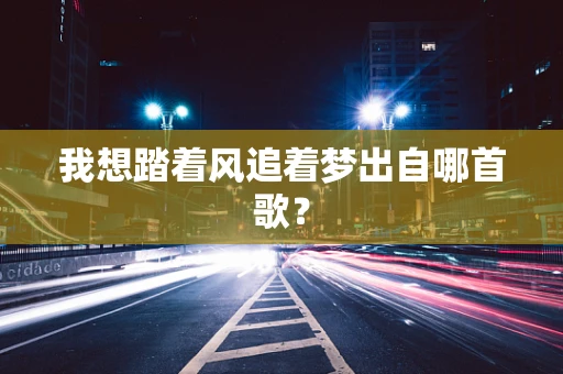 我想踏着风追着梦出自哪首歌？
