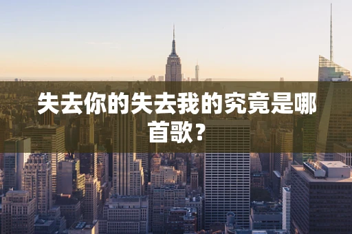 失去你的失去我的究竟是哪首歌？