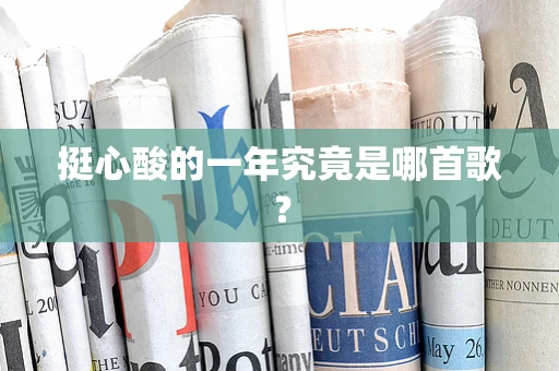 挺心酸的一年究竟是哪首歌？