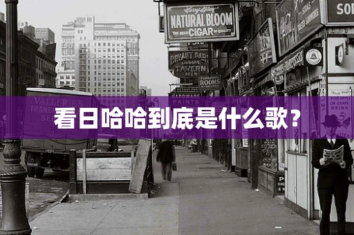 看日哈哈到底是什么歌？