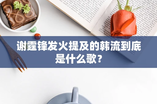 谢霆锋发火提及的韩流到底是什么歌？