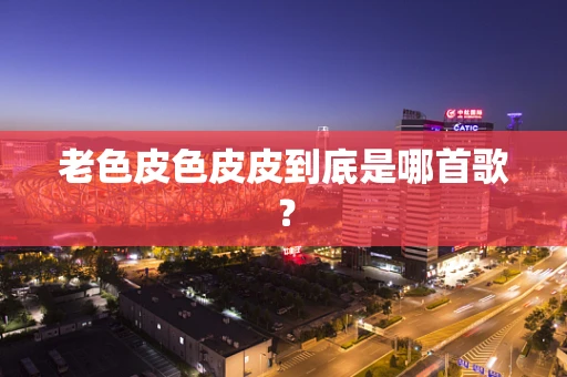 老色皮色皮皮到底是哪首歌？