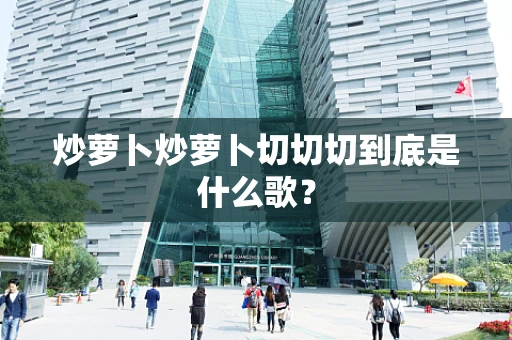 炒萝卜炒萝卜切切切到底是什么歌？