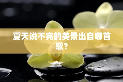 夏天说不完的美景出自哪首歌？