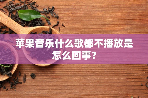 苹果音乐什么歌都不播放是怎么回事？