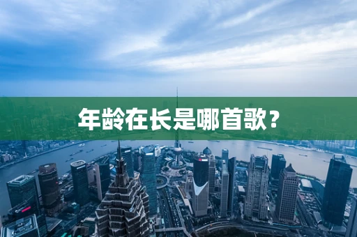 年龄在长是哪首歌？