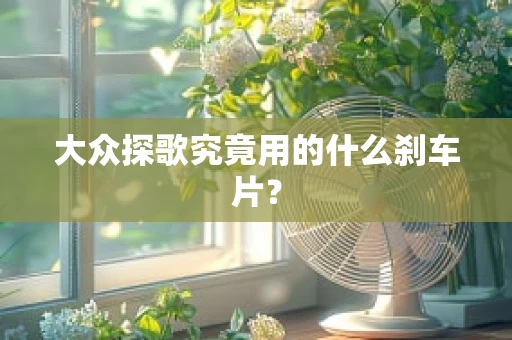 大众探歌究竟用的什么刹车片？