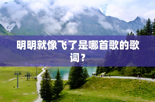 明明就像飞了是哪首歌的歌词？