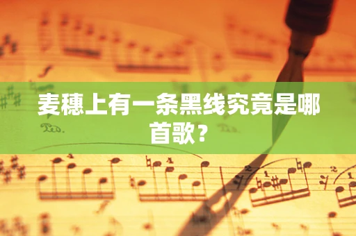 麦穗上有一条黑线究竟是哪首歌？