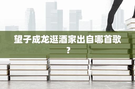 望子成龙逛酒家出自哪首歌？