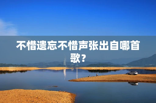 不惜遗忘不惜声张出自哪首歌？