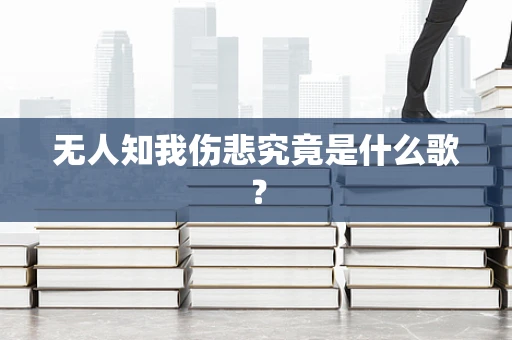 无人知我伤悲究竟是什么歌？