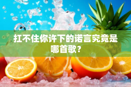 扛不住你许下的诺言究竟是哪首歌？