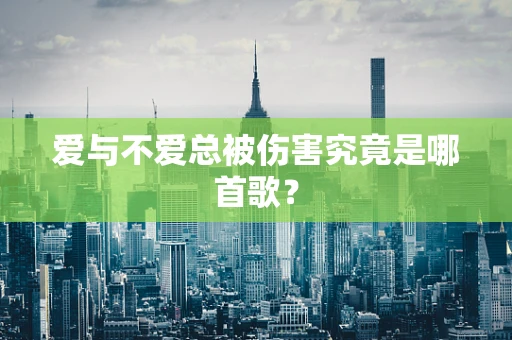 爱与不爱总被伤害究竟是哪首歌？