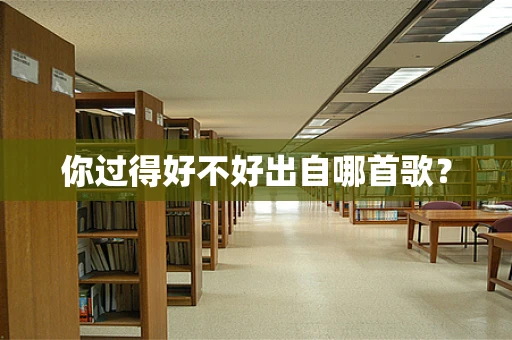你过得好不好出自哪首歌？
