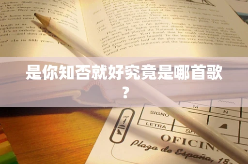 是你知否就好究竟是哪首歌？
