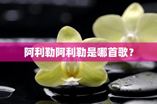 阿利勒阿利勒是哪首歌？