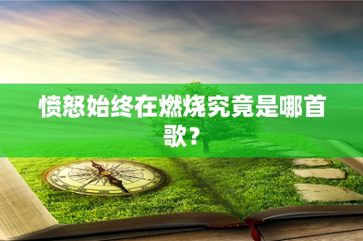 愤怒始终在燃烧究竟是哪首歌？