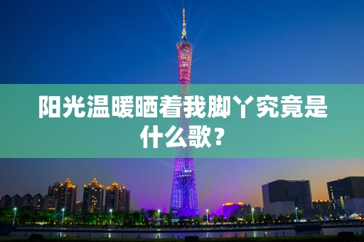 阳光温暖晒着我脚丫究竟是什么歌？