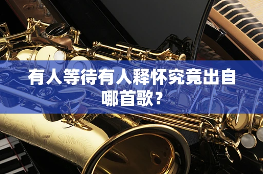 有人等待有人释怀究竟出自哪首歌？