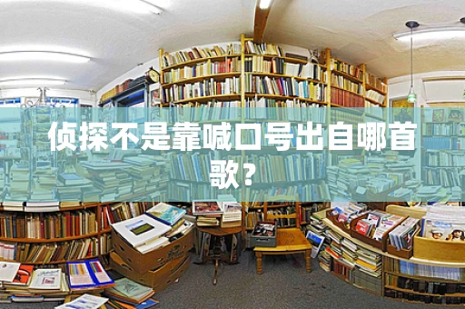 侦探不是靠喊口号出自哪首歌？