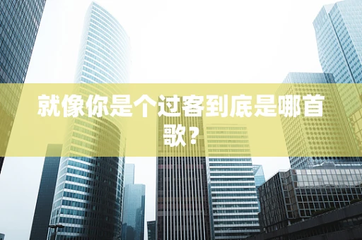 就像你是个过客到底是哪首歌？