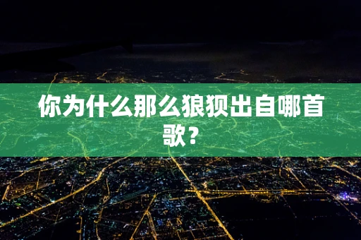 你为什么那么狼狈出自哪首歌？