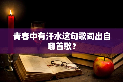 青春中有汗水这句歌词出自哪首歌？