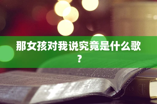 那女孩对我说究竟是什么歌？
