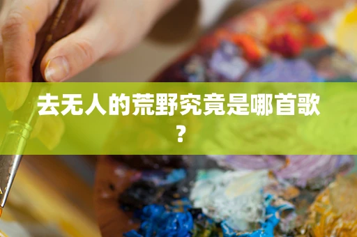 去无人的荒野究竟是哪首歌？