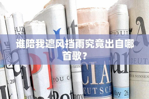 谁陪我遮风挡雨究竟出自哪首歌？