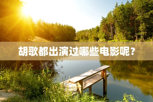 胡歌都出演过哪些电影呢？