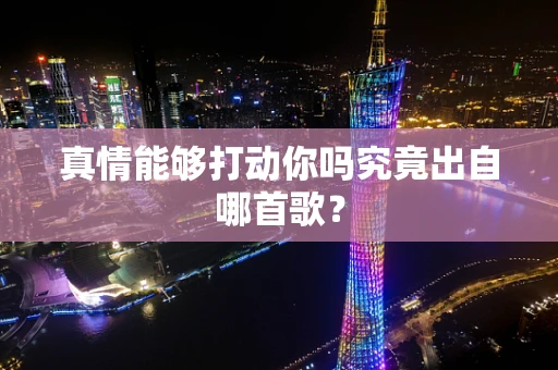 真情能够打动你吗究竟出自哪首歌？