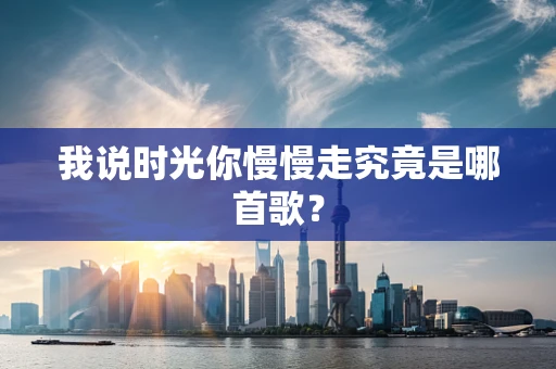 我说时光你慢慢走究竟是哪首歌？