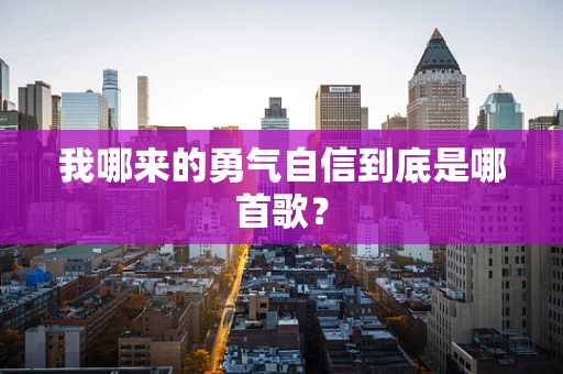 我哪来的勇气自信到底是哪首歌？