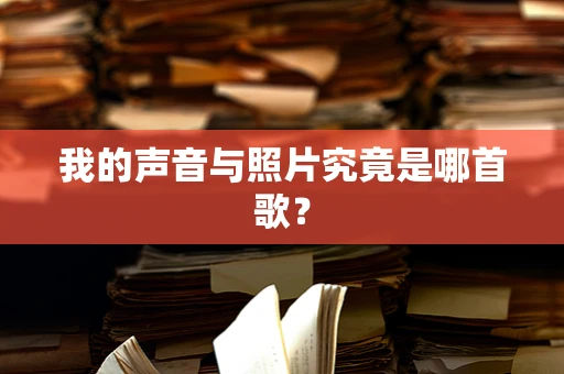 我的声音与照片究竟是哪首歌？