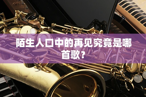 陌生人口中的再见究竟是哪首歌？