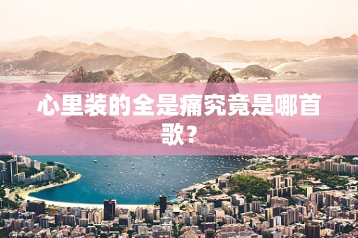 心里装的全是痛究竟是哪首歌？