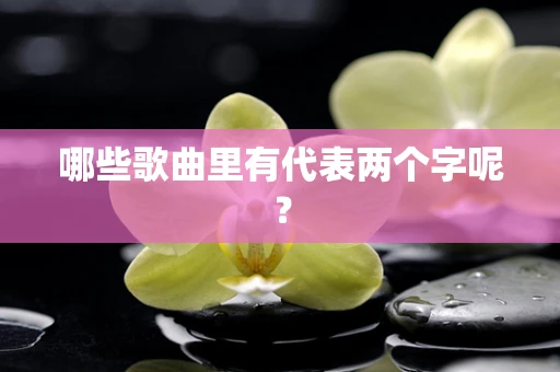 哪些歌曲里有代表两个字呢？