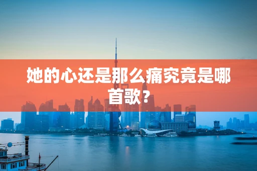 她的心还是那么痛究竟是哪首歌？