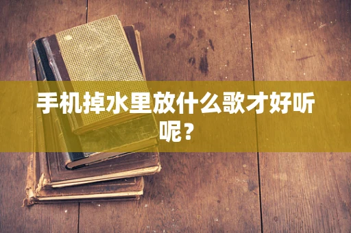 手机掉水里放什么歌才好听呢？