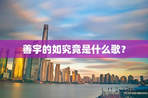 善宇的如究竟是什么歌？