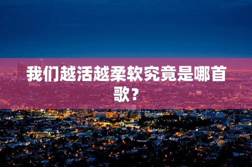 我们越活越柔软究竟是哪首歌？