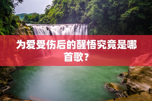 为爱受伤后的醒悟究竟是哪首歌？