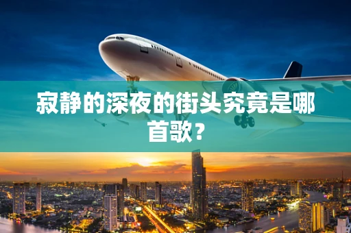 寂静的深夜的街头究竟是哪首歌？