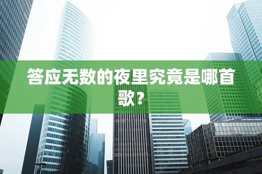 答应无数的夜里究竟是哪首歌？
