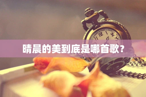 晴晨的美到底是哪首歌？