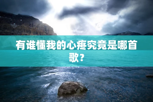 有谁懂我的心疼究竟是哪首歌？