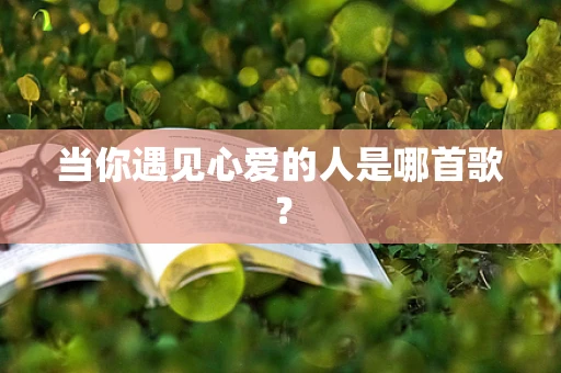 当你遇见心爱的人是哪首歌？