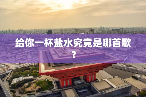 给你一杯盐水究竟是哪首歌？